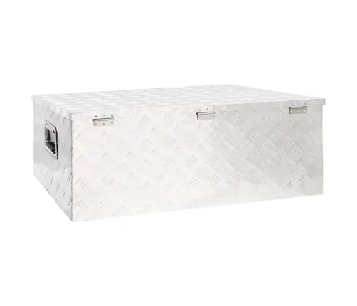 Uzglabāšanas Kaste, Sudrabaina, 100X55X37 Cm, Alumīnijs Vidaxl