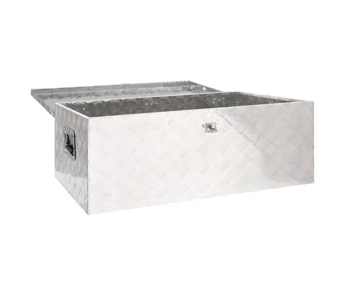 Uzglabāšanas Kaste, Sudrabaina, 100X55X37 Cm, Alumīnijs Vidaxl