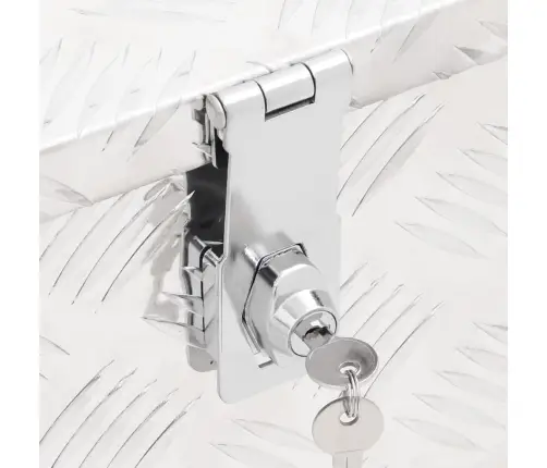 Uzglabāšanas Kaste, Sudrabaina, 100X55X37 Cm, Alumīnijs Vidaxl