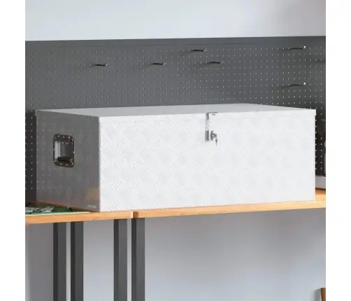 Uzglabāšanas Kaste, Sudrabaina, 100X55X37 Cm, Alumīnijs Vidaxl