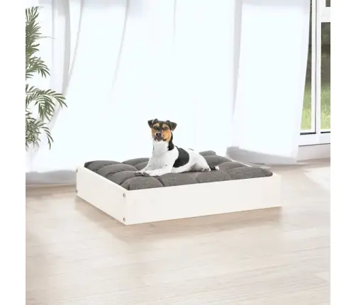 Koeravoodi, Valge, 51,5X44X9 cm Männipuit