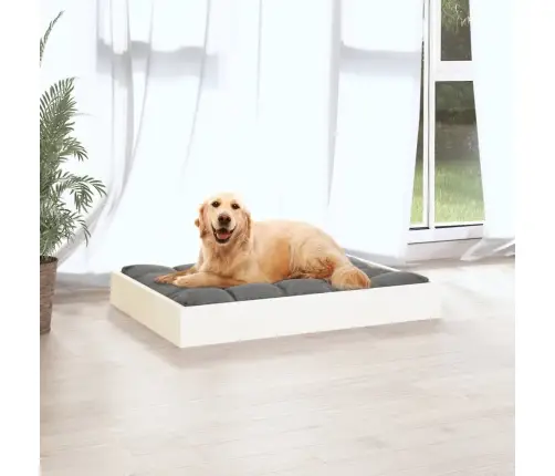 Suņu Gulta, Balta, 71,5X54X9 Cm, Priedes Masīvkoks Vidaxl