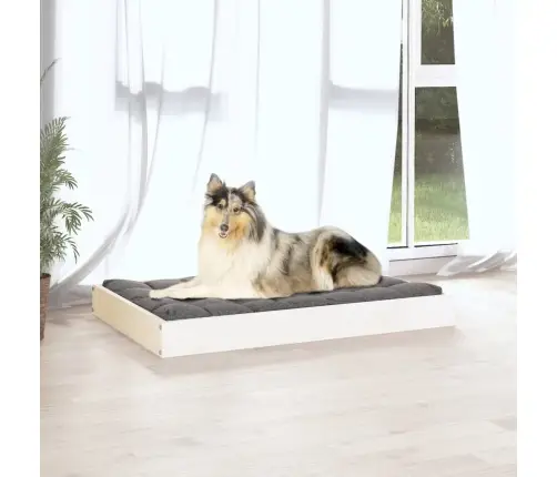 Koeravoodi, Valge, 91,5 X 64 X 9 cm Männipuit