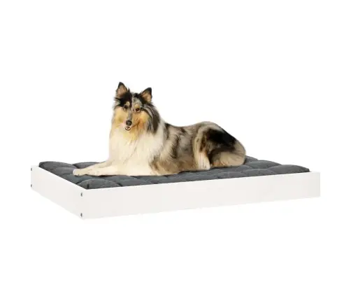 Koeravoodi, Valge, 91,5 X 64 X 9 cm Männipuit