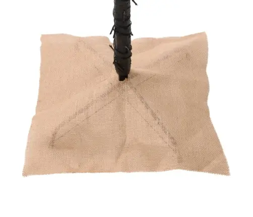 Mākslīgā Palma, 136 Silti Baltas Led, 220 Cm Vidaxl