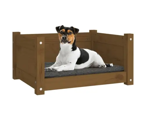 Lova Šunims, Medaus Ruda, 55,5X45,5X28cm Pušies Masyvas
