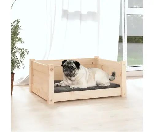 Koeravoodi 65,5 X 50,5 X 28 cm Täispuidust