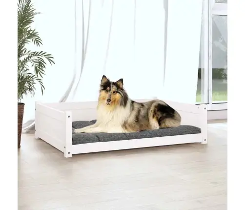 Lova Šunims, Balta, 95,5X65,5X28cm Pušies Medienos Masyvas