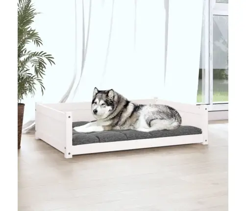 Koeravoodi, Valge, 105,5X75,5X28 cm Männipuit