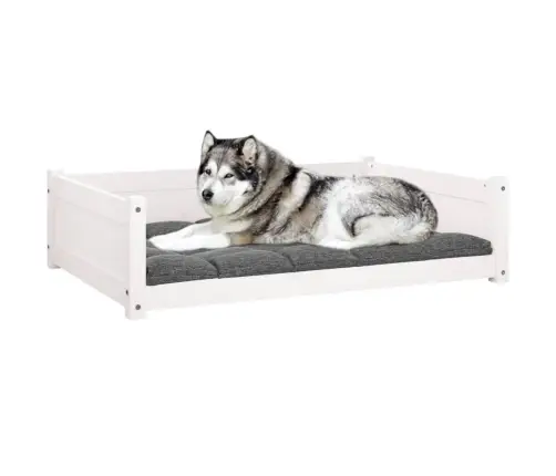 Koeravoodi, Valge, 105,5X75,5X28 cm Männipuit