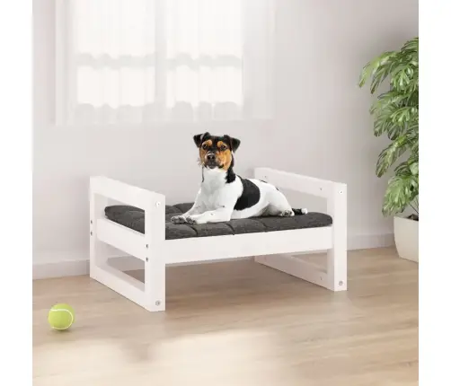 Suņu Gulta, Balta, 55,5X45,5X28 Cm, Priedes Masīvkoks Vidaxl