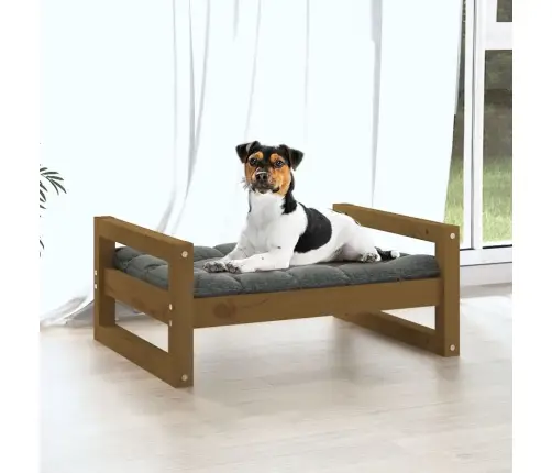 Suņu Gulta, Medus Brūna, 55,5X45,5X28 Cm, Priedes Masīvkoks Vidaxl