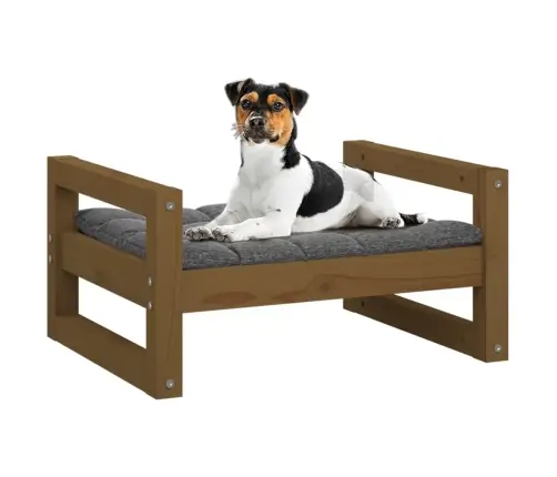 Suņu Gulta, Medus Brūna, 55,5X45,5X28 Cm, Priedes Masīvkoks Vidaxl