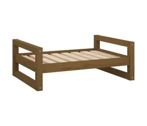 Lova Šunims, Medaus Ruda, 75,5X55,5X28cm Pušies Masyvas