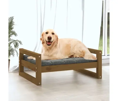 Lova Šunims, Medaus Ruda, 75,5X55,5X28cm Pušies Masyvas