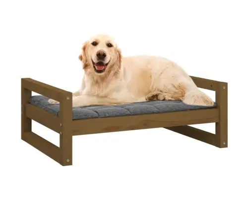 Lova Šunims, Medaus Ruda, 75,5X55,5X28cm Pušies Masyvas