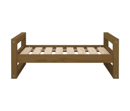 Lova Šunims, Medaus Ruda, 75,5X55,5X28cm Pušies Masyvas