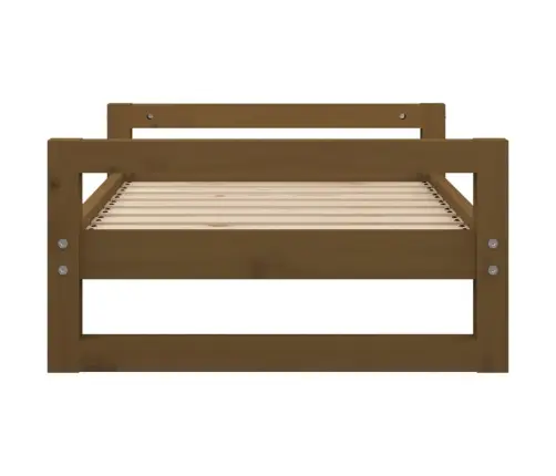 Lova Šunims, Medaus Ruda, 75,5X55,5X28cm Pušies Masyvas