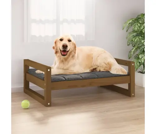 Lova Šunims, Medaus Ruda, 75,5X55,5X28cm Pušies Masyvas