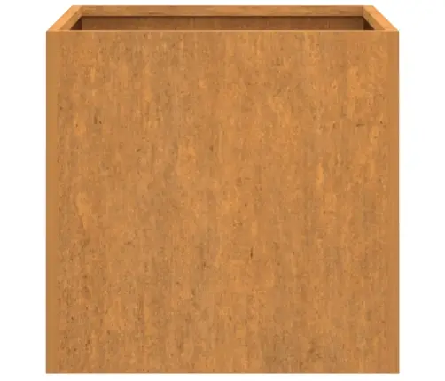 Taimekast, 2 Tk, 32X30X29 cm Corten Teras