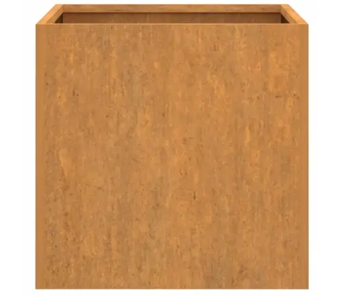 Taimekast, 2 Tk, 42X40X39 cm Corten Teras