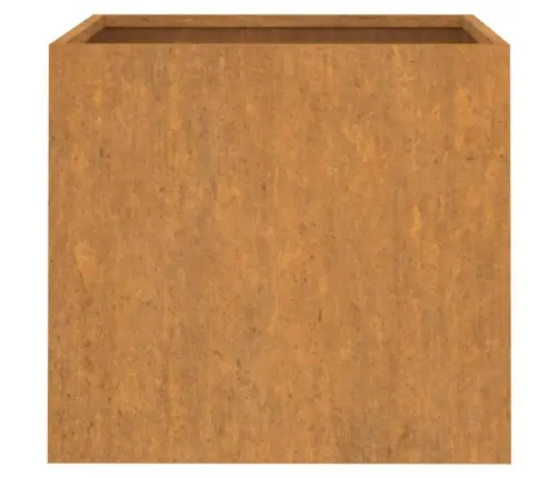 Taimekast, 2 Tk, 49X47X46 cm Corten Teras