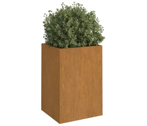 Lovelis, 42X38X75cm Corten Plienas
