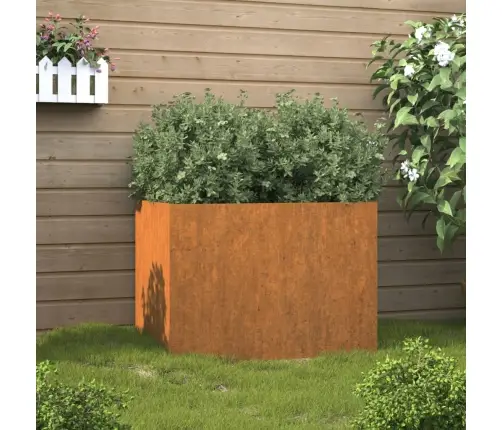 Lovelis, 62X47X46cm Corten Plienas