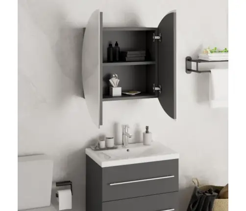 Vonios Kambario Spintelė Su Veidrodžiu/Led, Pilka, 47X47X17,5Cm