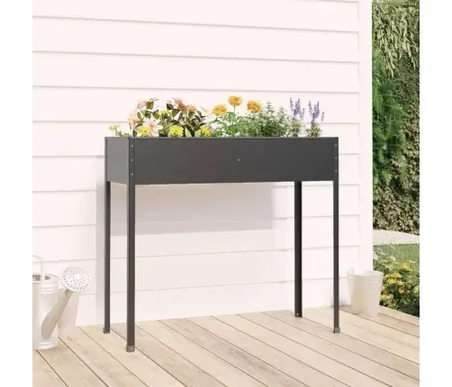 Aia Taimekast, Antratsiit, 100,5X40,5X90 cm Tsingitud Teras