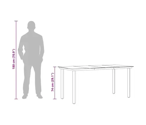 Dārza Ēdamgalds, Melns, 160X80X74 Cm, Tērauds Un Rūdīts Stikls Vidaxl