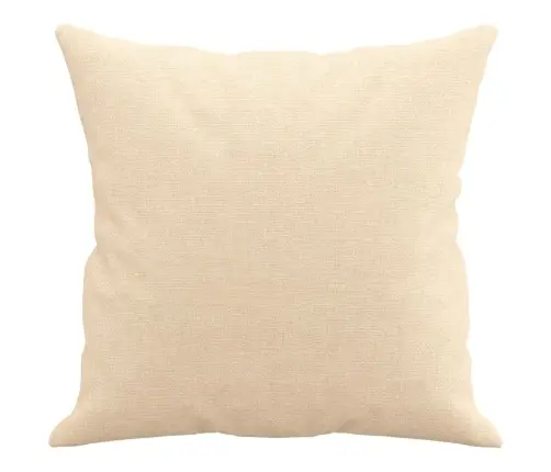 Dekoratīvi Spilveni, 2 Gab., Krēmkrāsas, 40X40 Cm, Audums Vidaxl