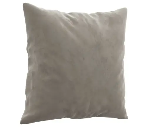 Dekoratīvi Spilveni, 2 Gab., Gaiši Pelēki, 40X40 Cm, Samts Vidaxl