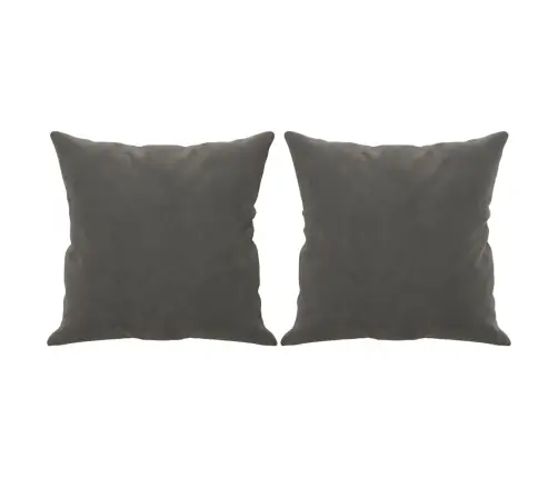 Dekoratīvi Spilveni, 2 Gab., Tumši Pelēki, 40X40 Cm, Samts Vidaxl