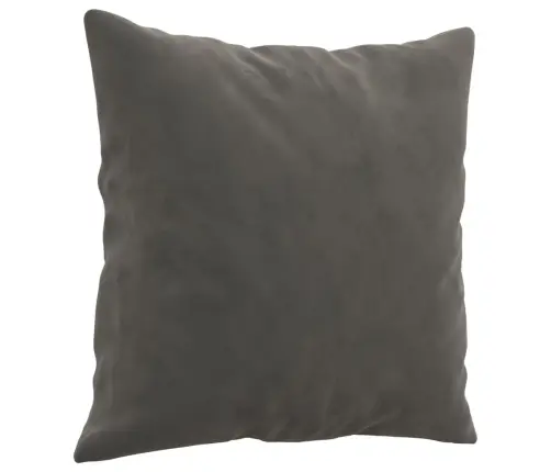 Dekoratīvi Spilveni, 2 Gab., Tumši Pelēki, 40X40 Cm, Samts Vidaxl