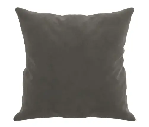 Dekoratīvi Spilveni, 2 Gab., Tumši Pelēki, 40X40 Cm, Samts Vidaxl