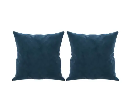 Dekoratīvi Spilveni, 2 Gab., Zili, 40X40 Cm, Samts Vidaxl