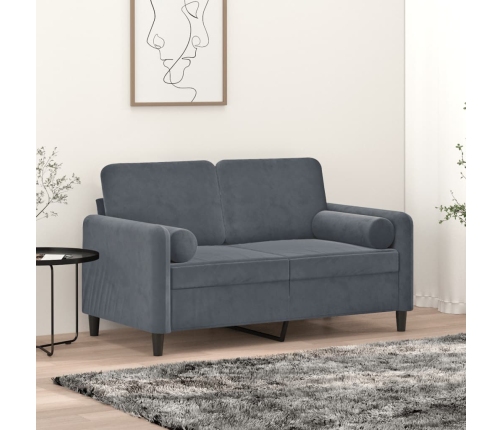 Dekoratīvi Spilveni, 2 Gab., Tumši Pelēki, Ø15X50 Cm, Samts Vidaxl