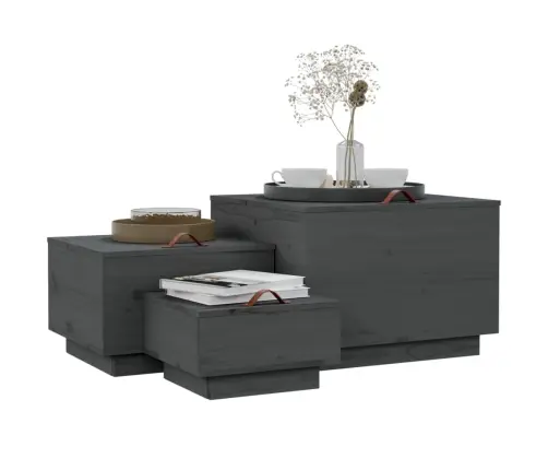 Hoiukastid Kaantega 3 Tk, Hall, Männipuit