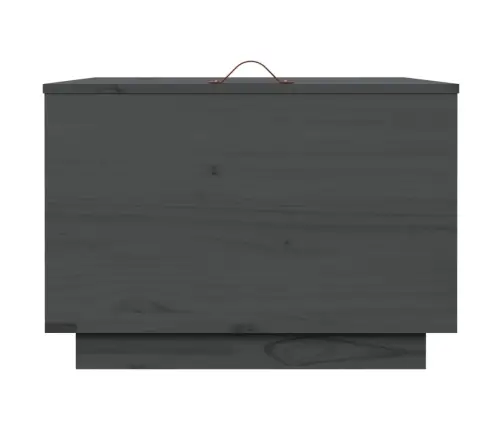 Hoiukastid Kaantega 3 Tk, Hall, Männipuit