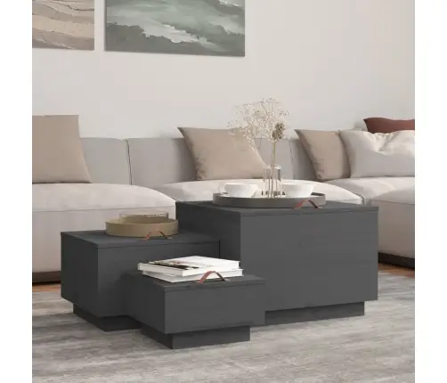 Hoiukastid Kaantega 3 Tk, Hall, Männipuit