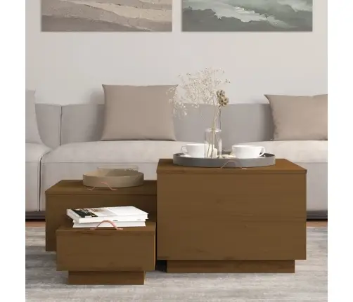 Uzglabāšanas Kastes Ar Vākiem, 3 Gab., Brūns Priedes Masīvkoks Vidaxl