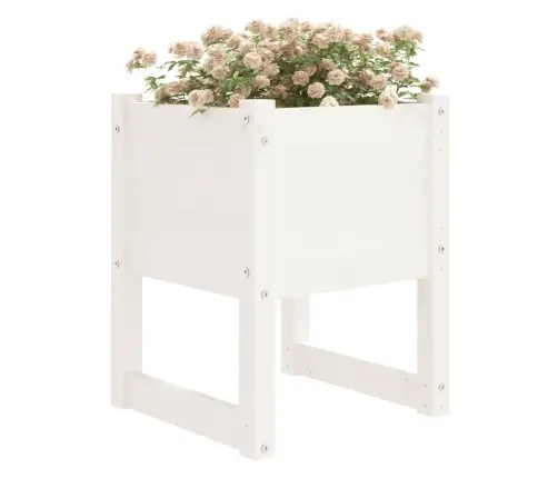 Taimekastid, 2 Tk, Valge, 40X40X52,5 cm Toekas Männipuit