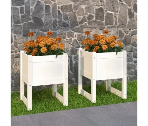 Taimekastid, 2 Tk, Valge, 40X40X52,5 cm Toekas Männipuit