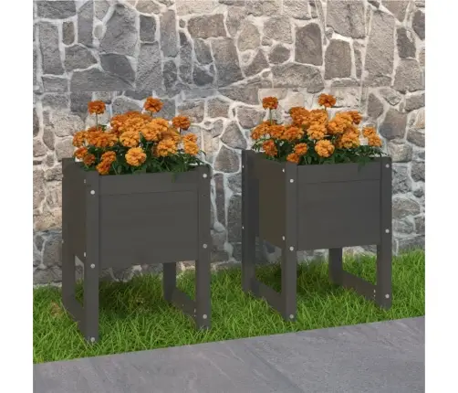 Loveliai, 2Vnt., Pilki, 40X40X52,5cm Pušies Medienos Masyvas