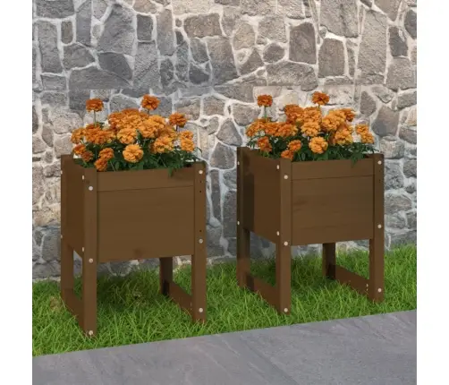 Puķu Kastes, 2 Gab., Brūnas, 40X40X52,5 Cm, Priedes Masīvkoks Vidaxl
