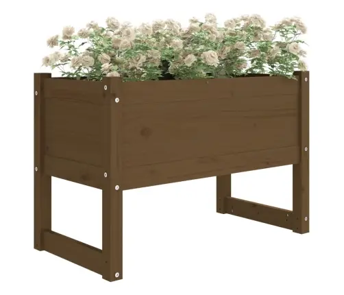 Lovelis, Medaus Rudas, 78X40X52cm Pušies Medienos Masyvas