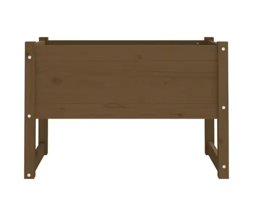 Lovelis, Medaus Rudas, 78X40X52cm Pušies Medienos Masyvas