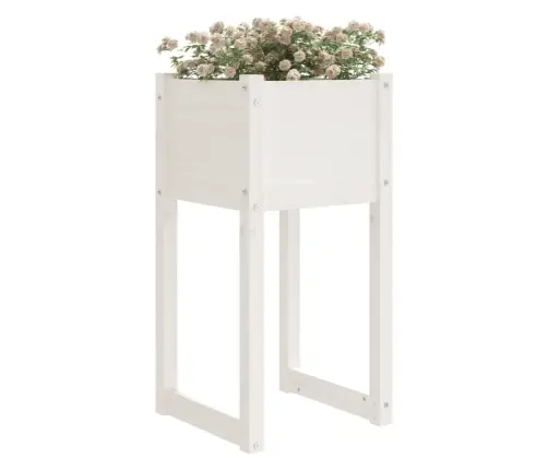 Puķu Kastes, 2 Gab., Baltas, 40X40X81 Cm, Priedes Masīvkoks Vidaxl