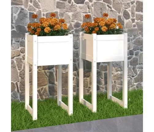 Puķu Kastes, 2 Gab., Baltas, 40X40X81 Cm, Priedes Masīvkoks Vidaxl